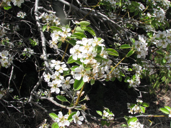 LIMG_6872.JPG - 185kb