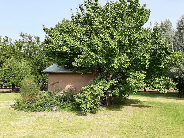 e20200917_95032.jpg - 197kb