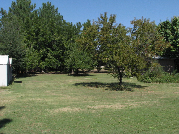 fIMG_7159.JPG - 154kb